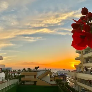 https://apartment-ocean-park-in-costa-adeje-tenerife.tenerifehoteles.net
